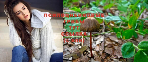 кокс Няндома