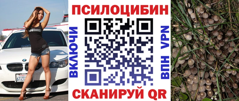 Псилоцибиновые грибы MAGIC MUSHROOMS  Светлоград 