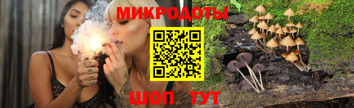Светлоград  Галлюциногенные грибы мицелий  Галлюциногенные грибы мухоморы  Вход с VPN 